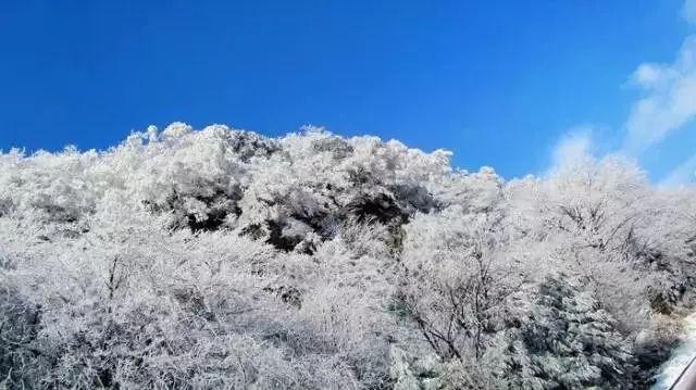 神游记